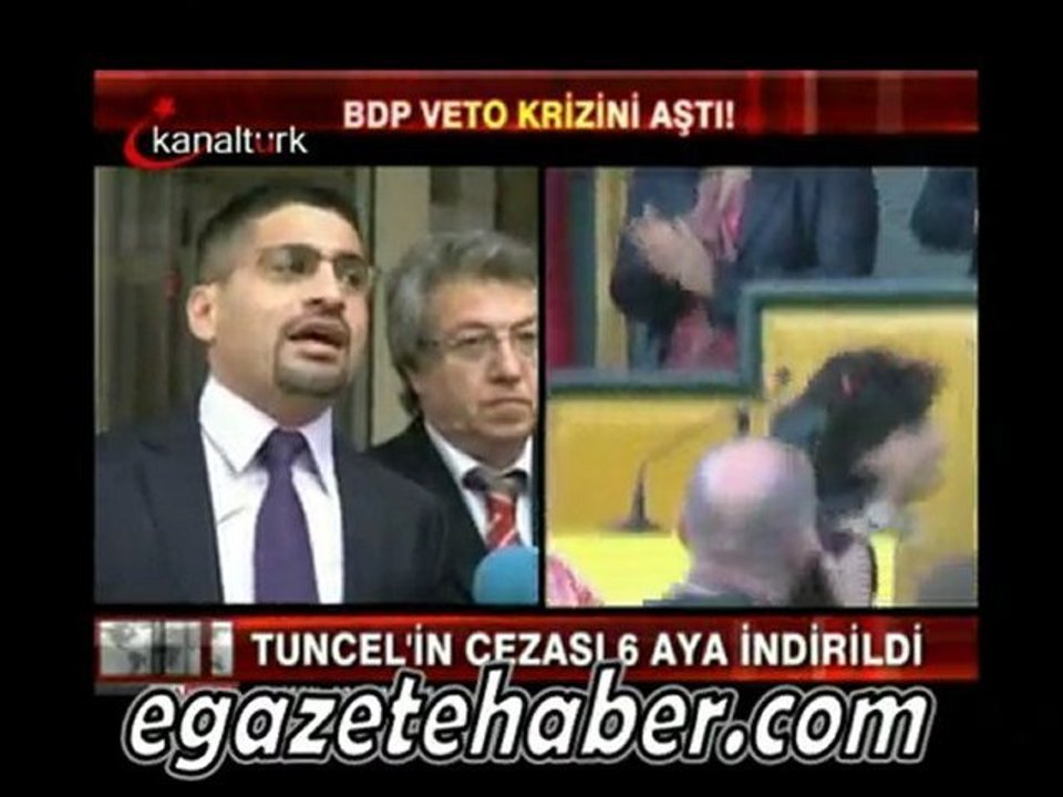 BDP'ye VETO kalktı
