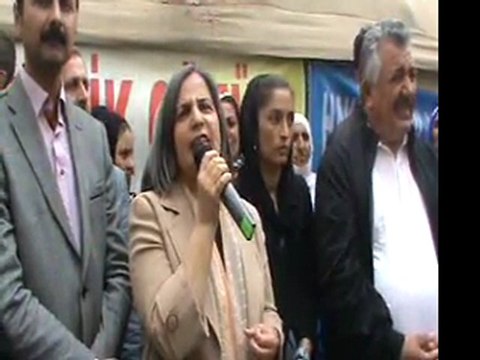 gültan kışanak - siirt bdp bağımsız aday - siirtliler.net