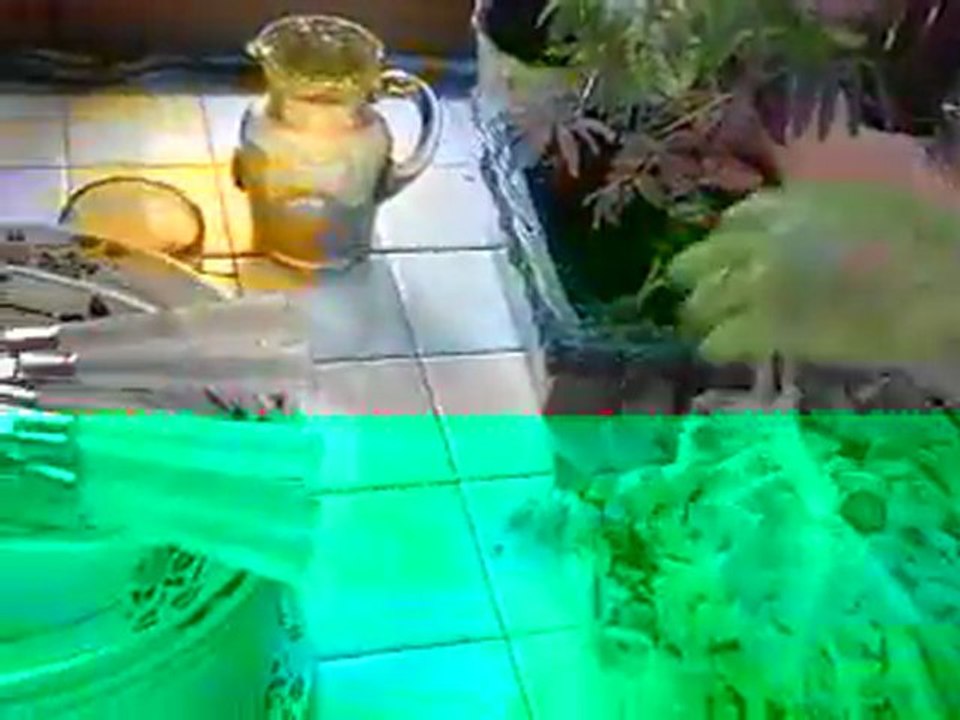 100_0060