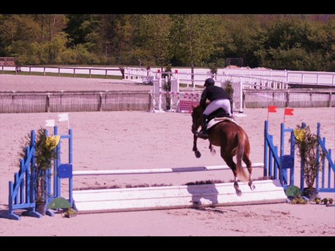 TYSON DE LA PLAGNE CSO SHF 4 ANS COMPIEGNE 19 AVRIL 2011