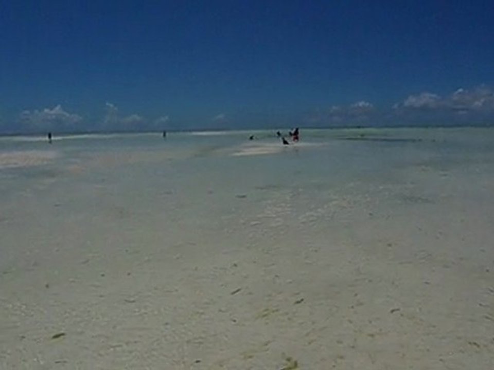 East coast, Zanzibar