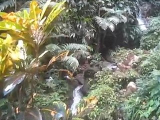 Ile de la Dominique !