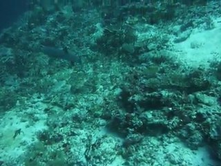 Les Maldives 2011 sur le Keyif 084