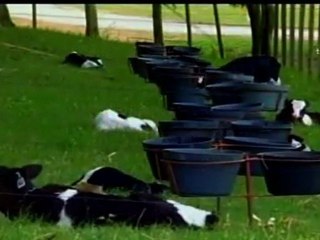 Latinoamérica se beneficiará por la crisis mundial (BID)