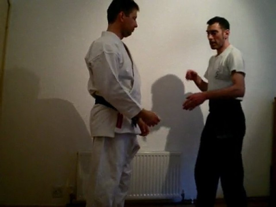 Kata Bunkai for Heian Nidan/Pinan Shodan (TKD: Won Hyo)