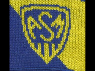 UN  COEUR  JAUNE  ET  BLEU