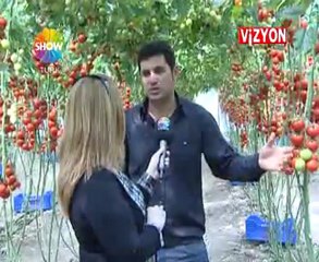 VİZYON TÜRK 102.BÖLÜM / ANTALYA / SERA