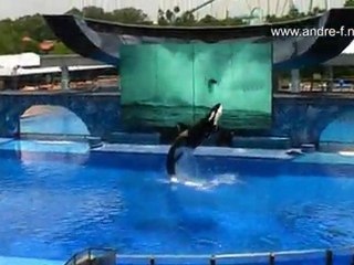 Seaworld - Orlando  HD