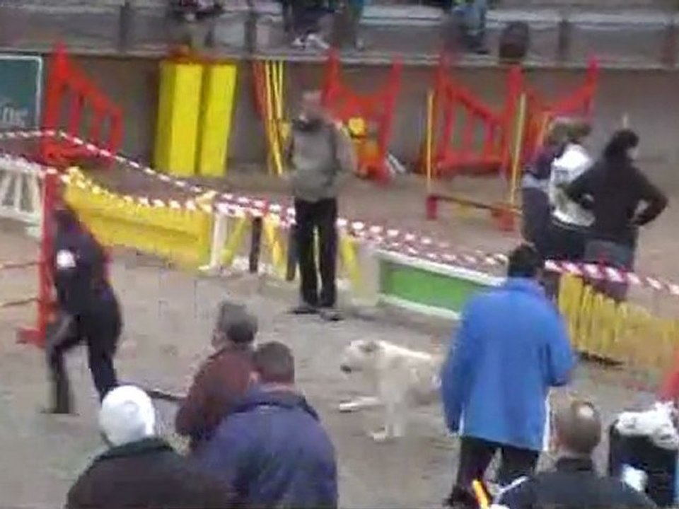 Berlioz à Ronchin, mars 2011