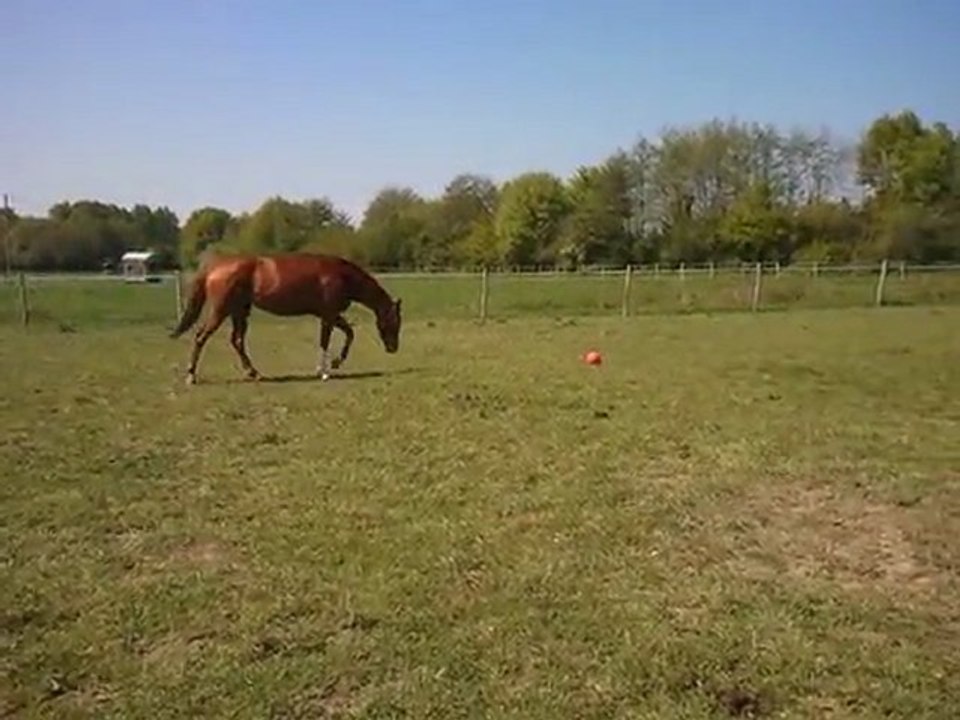 On Joue au foot ?