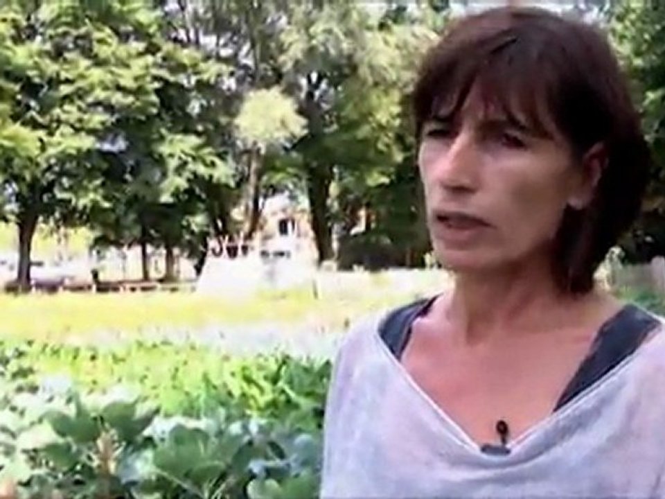 La Serre un projet d'insertion professionelle