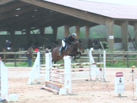 Hongre 5 ans à vendre pour CSO ou CCE - Muret :avril 2011