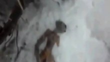 Ritrovato un alieno nella neve