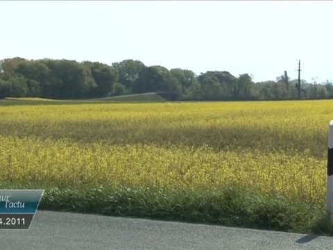 Vues sur l'Actu du 21 avril 2011