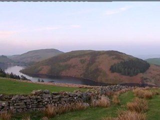 Police make car plunge appeal