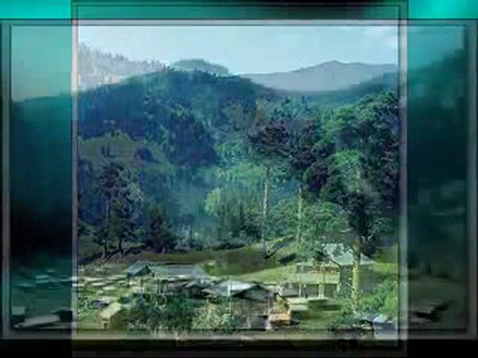 BİZİM YAYLALAR-MEVLÜT İHSANİ