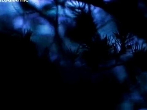 chasseurs chassés 1