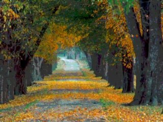 Farid Farjad - robabeh jan