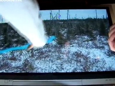 chasseurs chassés 3