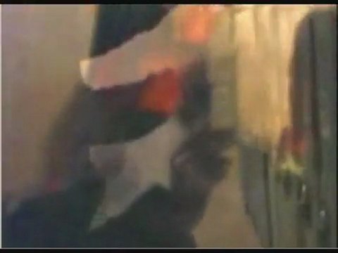 Nationaler Widerstand Österreich- alpen-donau.info