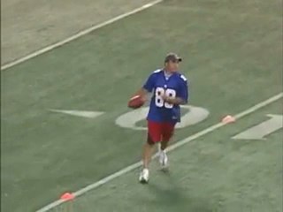 Touchdown on Giants Stadium by Reifel