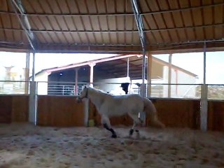 Mimi croisillon main gauche