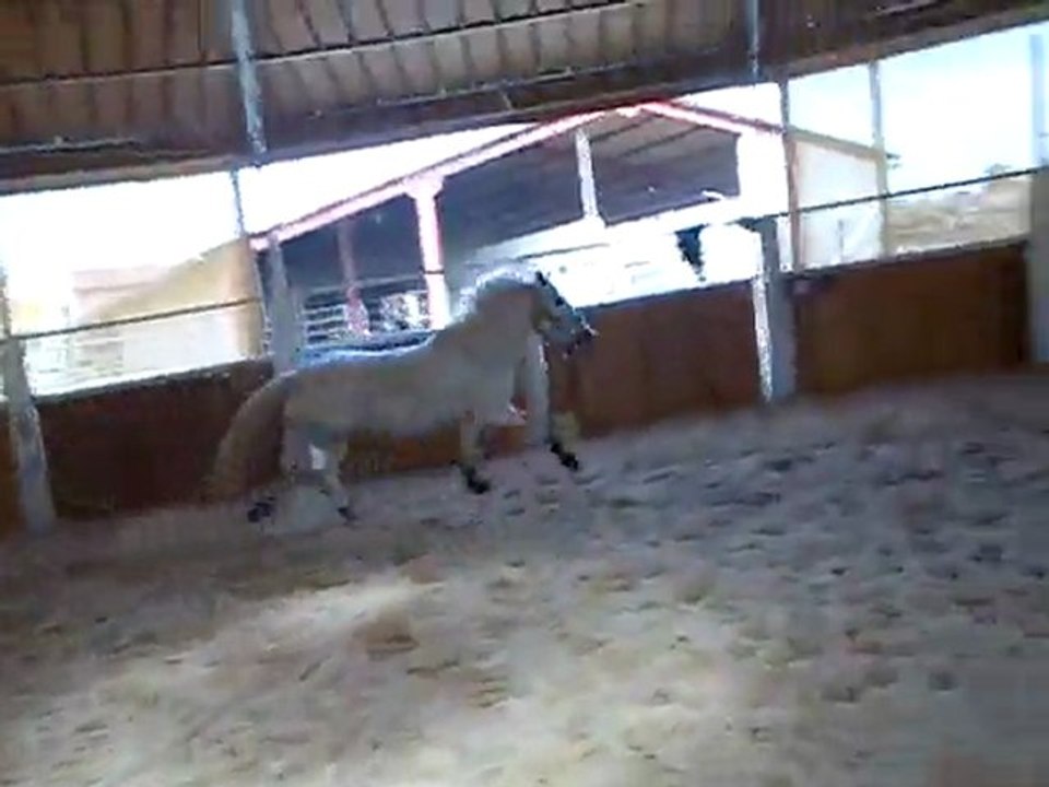 Mimi croisillon main droite