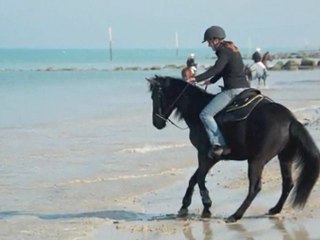 1ère plage Festival cheval en fête