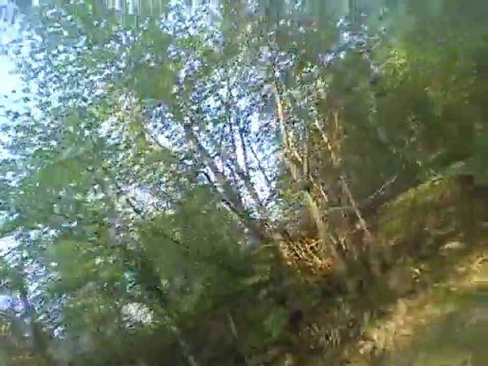 Velo 22.04