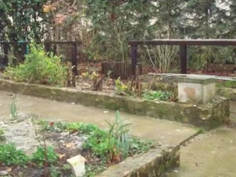 Location - appartement - MOISSY CRAMAYEL (77550) - 45m²