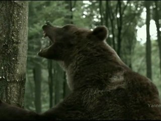 Publicité HD - Bouygues Telecom (avec les animaux) 2010