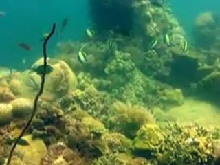 Découverte nouveau  site : Voici les clés