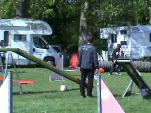 Baïla régional 2011 Agility 2è degré