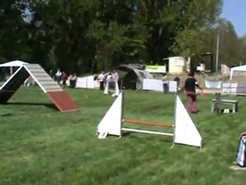 Eden régional 2011 Agility