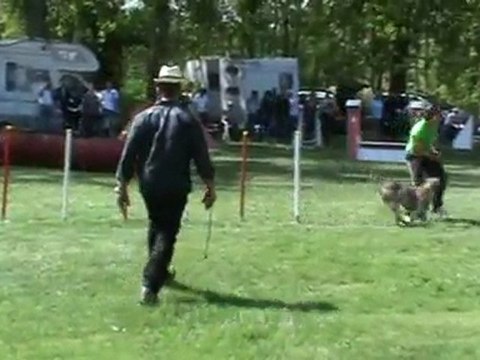 Baïla régional 2011 Jumping 2è degré