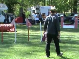 Eden régional 2011 Jumping