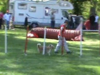 Flica régional 2011 Jumping