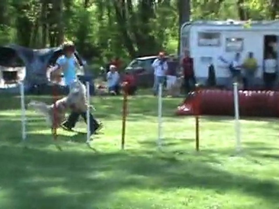 Chanel régional 2011 Jumping 3è degré