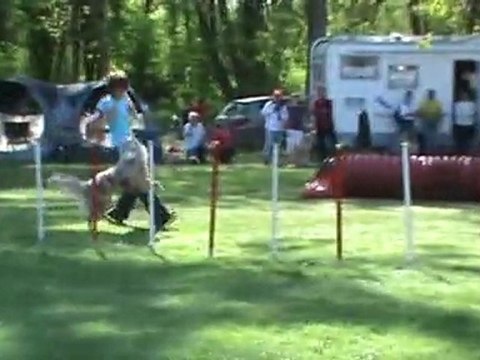 Chanel régional 2011 Jumping 3è degré