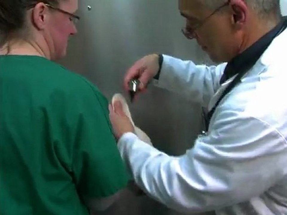 Newburgh Vet Veterinarians Pet Care Veterinary Hospital in Orange County NY