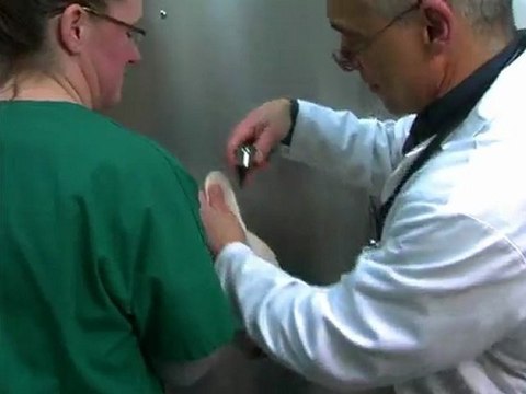 Newburgh Vet Veterinarians Pet Care Veterinary Hospital in Orange County NY