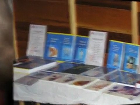 Osteopatia fisioterapia cursos en sanasport