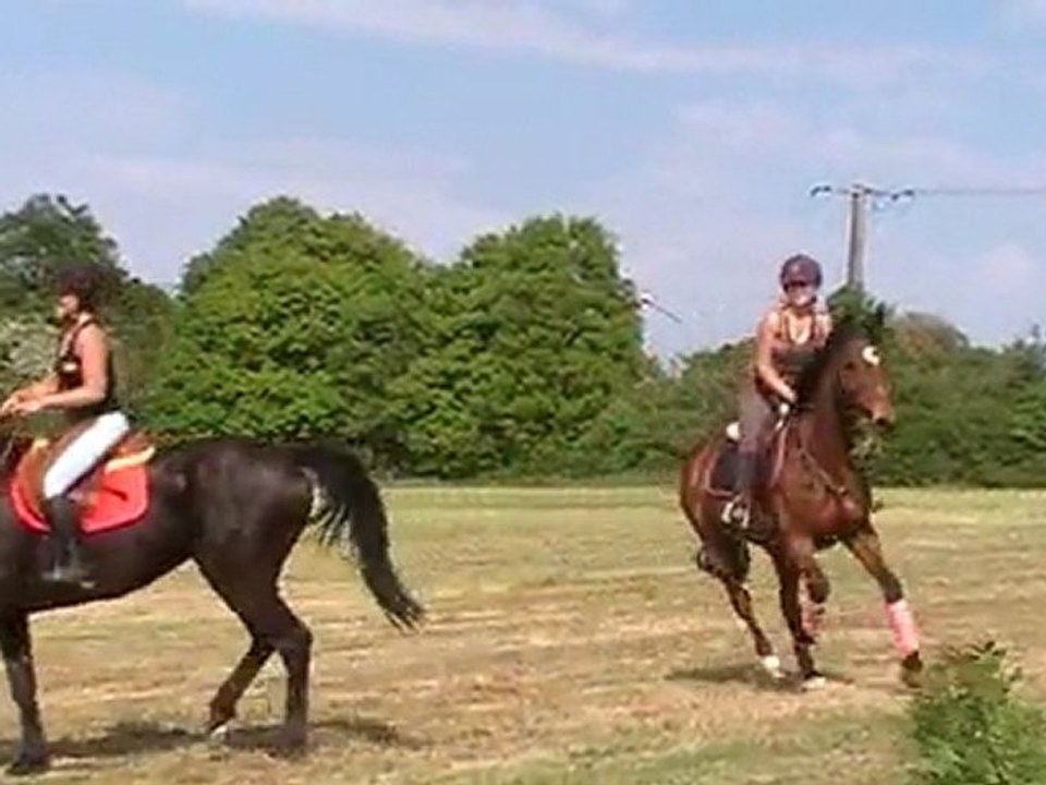 GALOP du 21 avril 2011