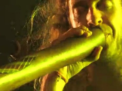 Hilight Tribe à la Niche du Chien à Plumes