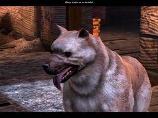 Let's Play Dragon Age 2 #074 [Deutsch] [HD] - Letzte Vorbereitungen