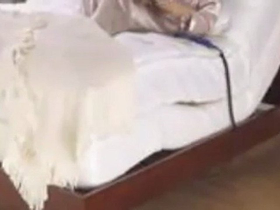 The Pro-Motion Adjustable Bed