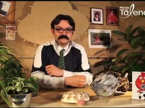 Jiweb n°6 Mairie de Talence