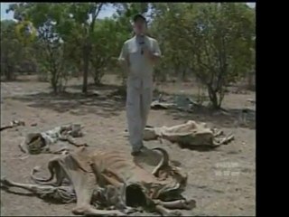 Luego de ser intervenido por el INTI, el Hato Barinal se ha