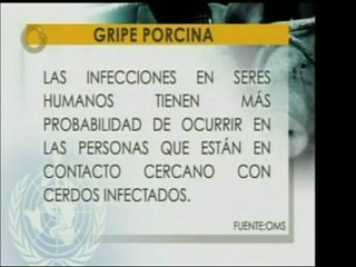 ¿Se contagia la influenza porcina por comer carne de cerdo?