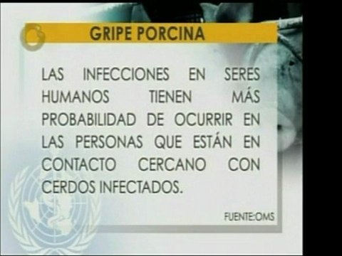 ¿Se contagia la influenza porcina por comer carne de cerdo?